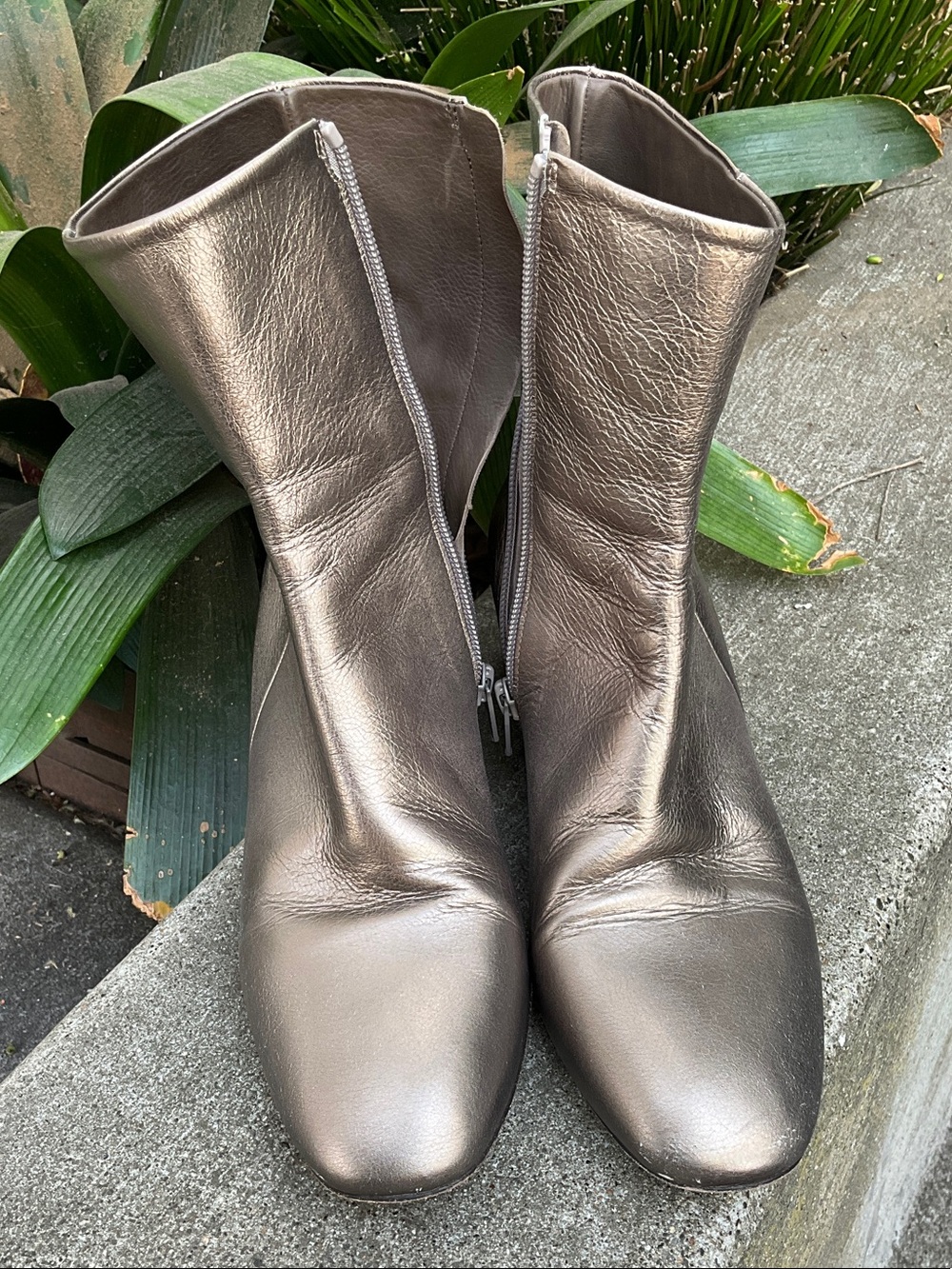 Coclico Metallic Women's Ankle Boots